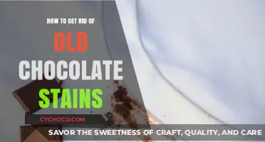 Effortless Chocolate Stain Removal: A Comprehensive Guide