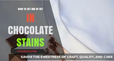 Conquering Stubborn Chocolate Stains: A Step-by-Step Guide