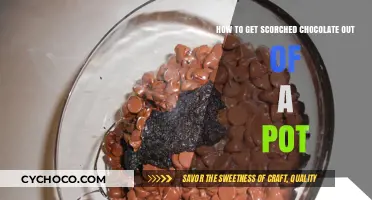 Salvaging Scorched Chocolate: A Pot's Tale of Trial and Error