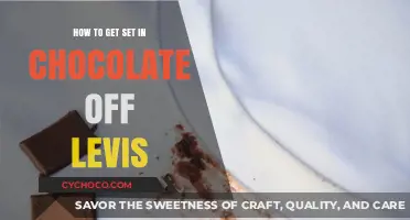 Decoding the Secret: Removing Chocolate Stains from Levi's