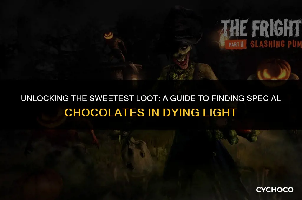 how to get special box of chocolates in dying light