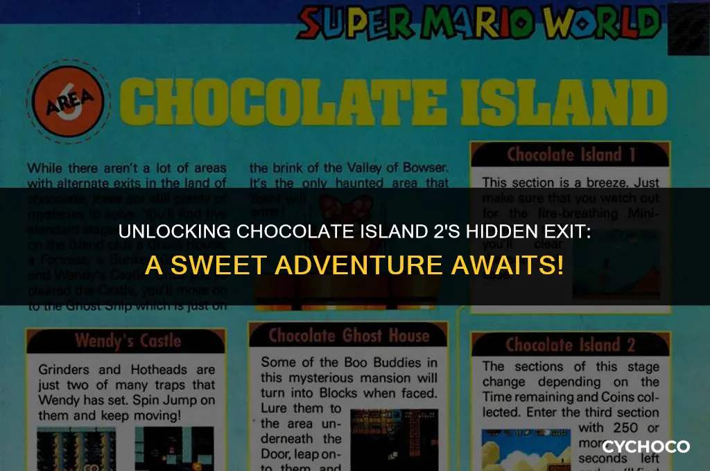 how to get the secret exit in chocolate island 2