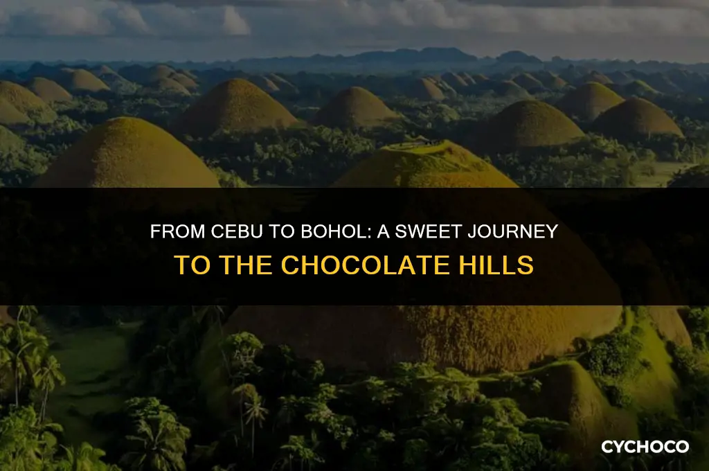 how to get to bohol chocolate hills from cebu