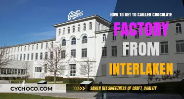Sweet Journey: Reaching Cailler Chocolate Factory from Interlaken