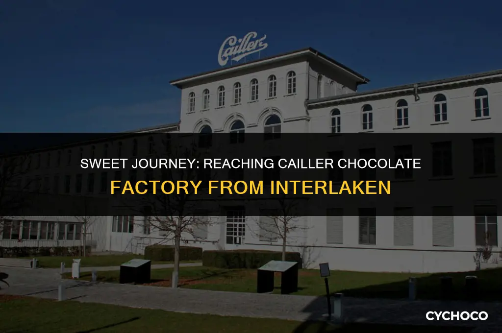 how to get to cailler chocolate factory from interlaken