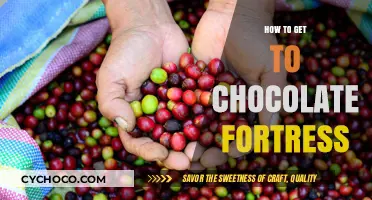 Unveiling the Sweet Journey to Chocolate Fortress: A Guide