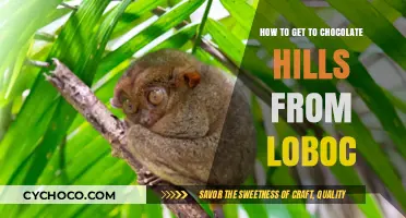 Exploring Bohol: A Scenic Journey to Chocolate Hills from Loboc