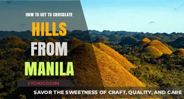 A Sweet Journey: Manila to Chocolate Hills Travel Guide
