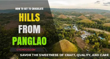 Unveiling the Sweet Journey: Panglao to Chocolate Hills Adventure Guide