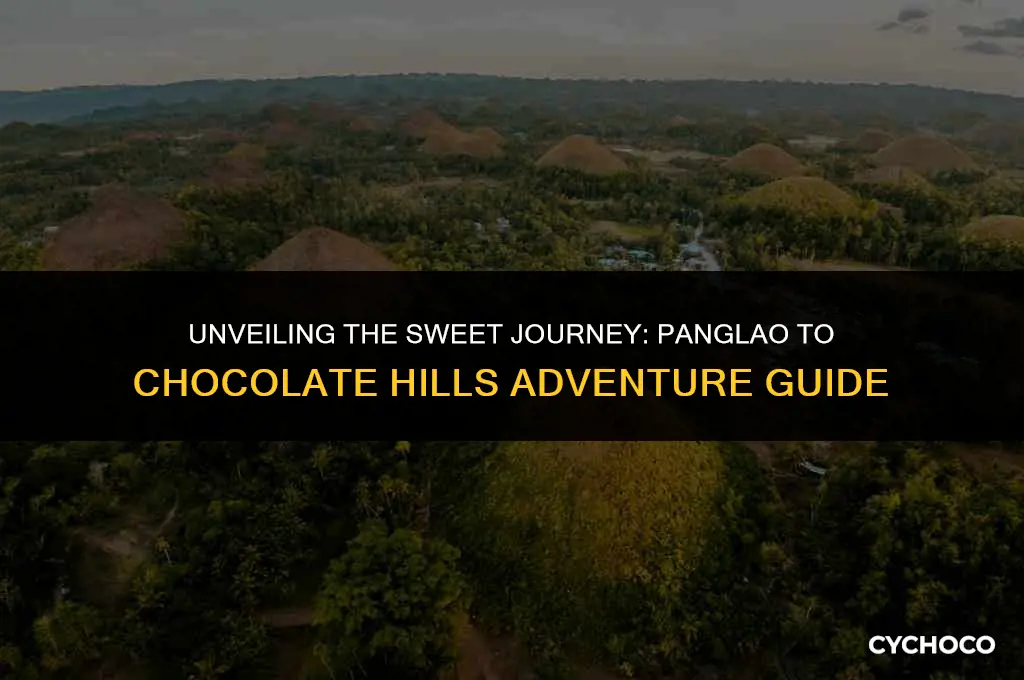 how to get to chocolate hills from panglao