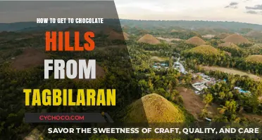 Exploring Bohol: A Guide to Chocolate Hills from Tagbilaran