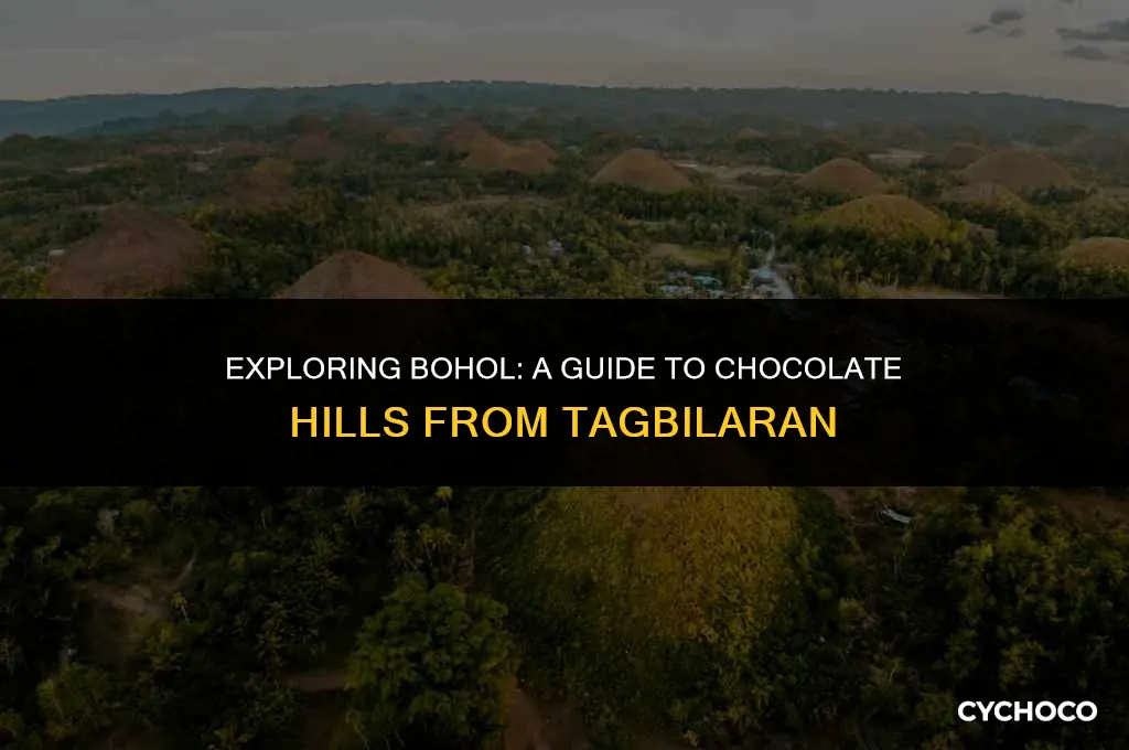 how to get to chocolate hills from tagbilaran
