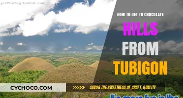 A Sweet Journey: Tubigon to Chocolate Hills Travel Guide