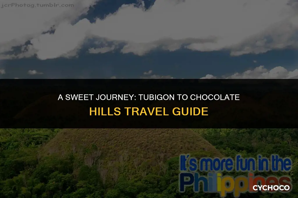 how to get to chocolate hills from tubigon