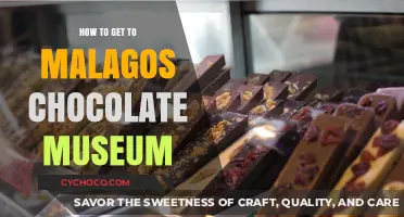 Exploring Malaga: A Sweet Journey to the Chocolate Museum