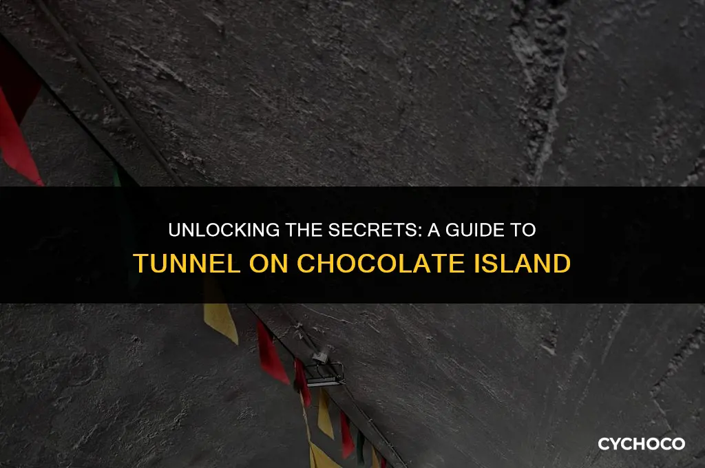 how to get to tunnel on chocolate island
