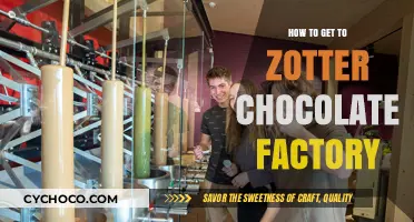 Sweet Journey: How to Reach the Zotter Chocolate Factory
