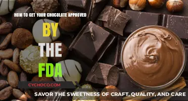 Navigating the FDA Approval Process for Your Chocolate Product