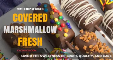Preserving Sweetness: The Ultimate Guide to Fresh Chocolate Marshmallows