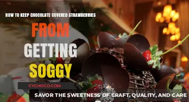 The Ultimate Guide to Perfectly Preserved Chocolate-Covered Strawberries