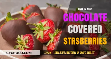 Preserving Perfection: Tips for Storing Chocolate-Covered Strawberries