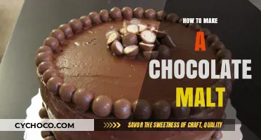 Indulgent Chocolate Malt: A Step-by-Step Guide to Decadence