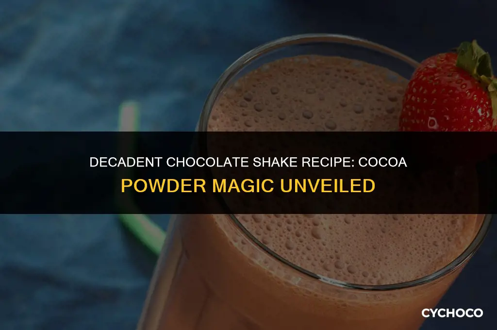 how to make a chocolate shake with cocoa powder