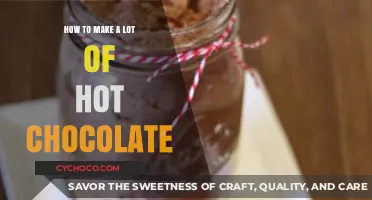 Mastering the Art of Hot Chocolate: A Guide to Endless Warmth
