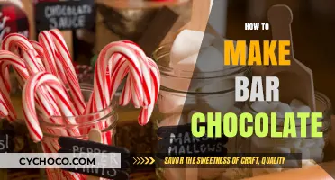 Crafting Delectable Bar Chocolates: A Step-by-Step Guide