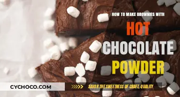 Decadent Brownie Bliss: Using Hot Chocolate Powder for Extra Richness