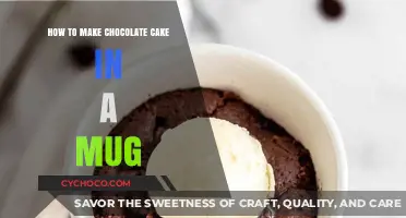 Quick and Easy Mug Chocolate Cake Recipe
