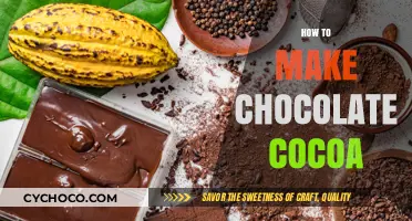 From Bean to Bliss: Mastering the Art of Chocolate Cocoa