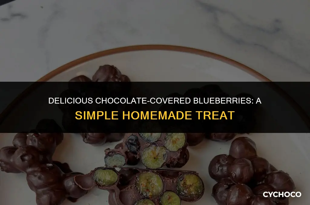how to make chocolate covered blueberries