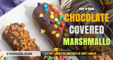 Sweet Treats: Mastering the Art of Chocolate-Covered Marshmallows