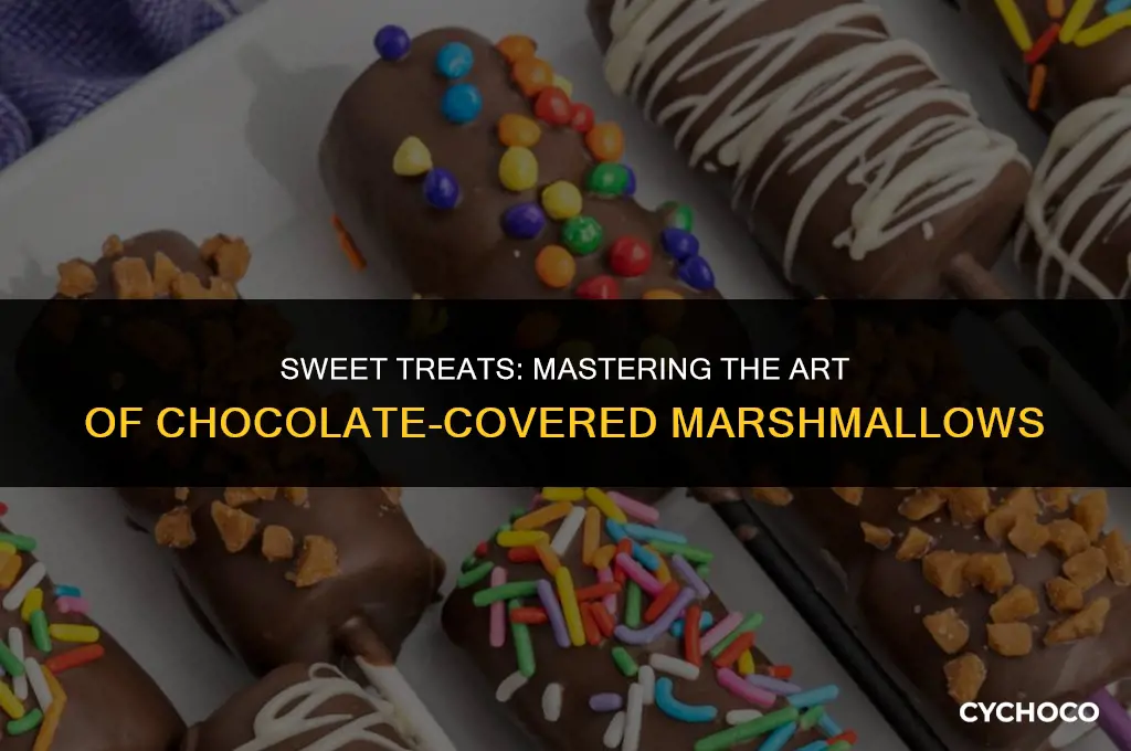 how to make chocolate covered marshmallows
