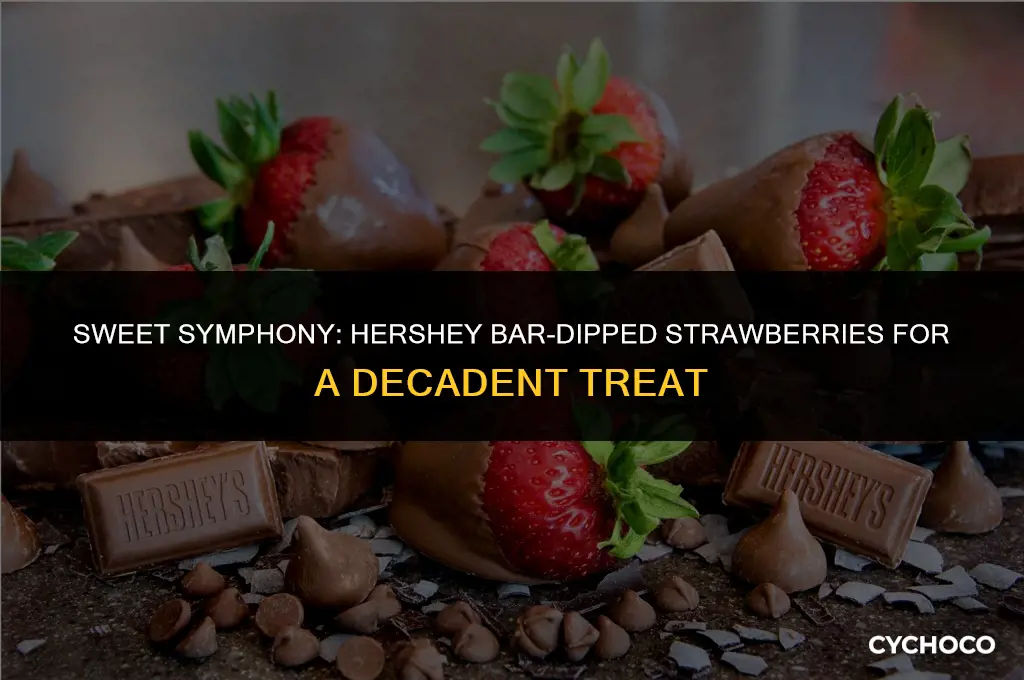 how to make chocolate covered strawberries with hershey bars