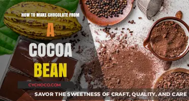 From Bean to Bar: The Art of Crafting Chocolate