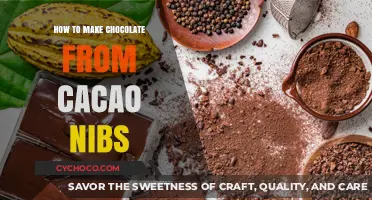 From Nib to Bar: The Art of Crafting Chocolate at Home