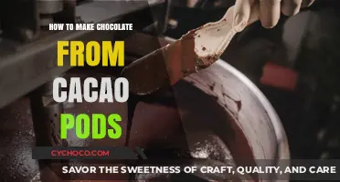 From Pod to Plate: The Art of Crafting Chocolate