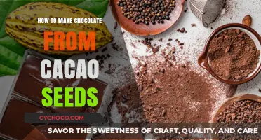 From Seed to Sweet: The Art of Crafting Chocolate from Cacao