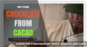 From Bean to Bar: The Art of Crafting Chocolate from Cacao