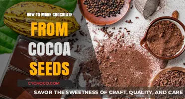 From Seed to Sweet: The Art of Crafting Chocolate