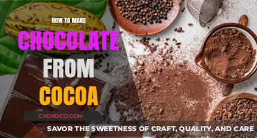 From Bean to Bar: The Art of Crafting Chocolate from Cocoa