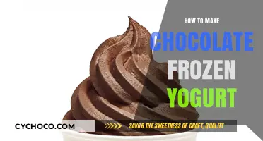 Deliciously Easy: Homemade Chocolate Frozen Yogurt Recipe
