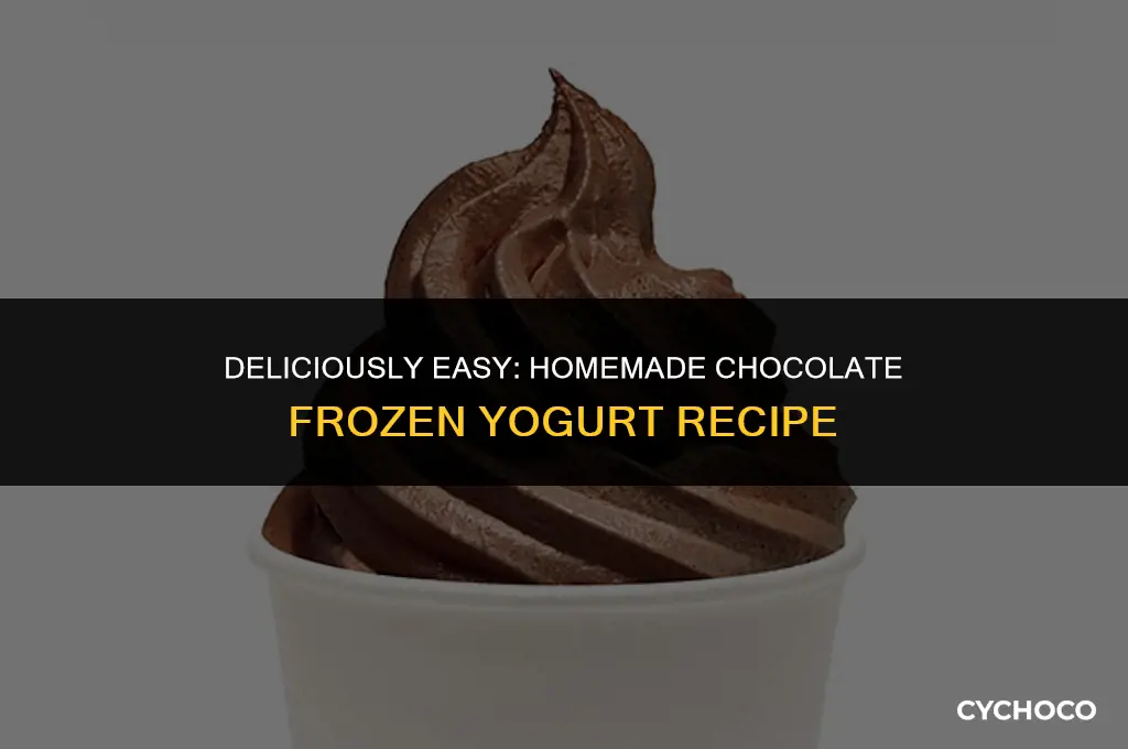 how to make chocolate frozen yogurt