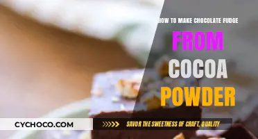 Decadent Homemade Fudge: A Simple Guide Using Cocoa Powder