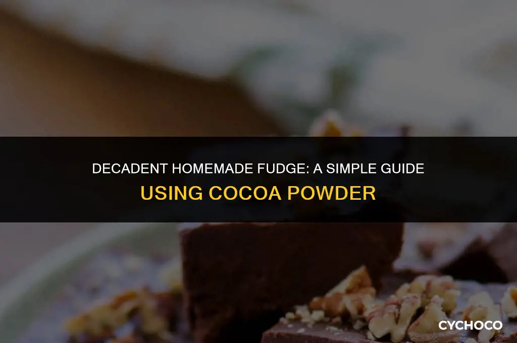 how to make chocolate fudge from cocoa powder