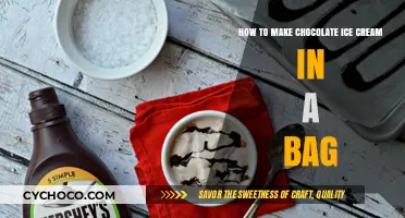 Easy Homemade Chocolate Ice Cream: A Simple Bag Method