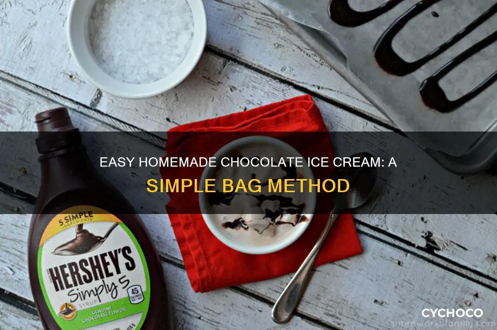 how to make chocolate ice cream in a bag