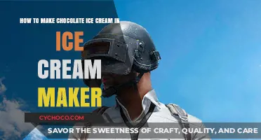 Homemade Chocolate Delight: Ice Cream Maker Magic Unveiled